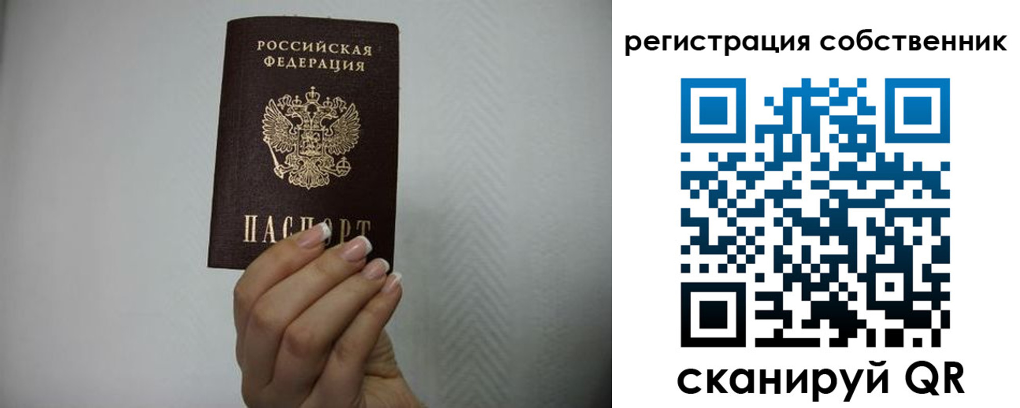 временная регистрация для школы в Зернограде
